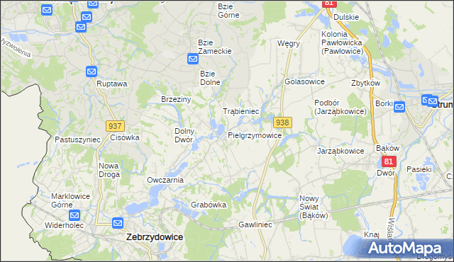 mapa Pielgrzymowice gmina Pawłowice, Pielgrzymowice gmina Pawłowice na mapie Targeo