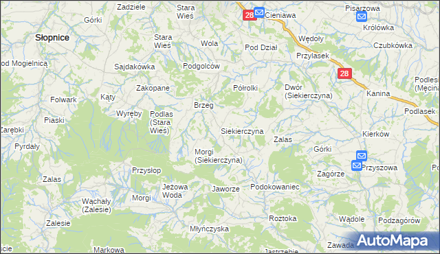 mapa Siekierczyna gmina Limanowa, Siekierczyna gmina Limanowa na mapie Targeo