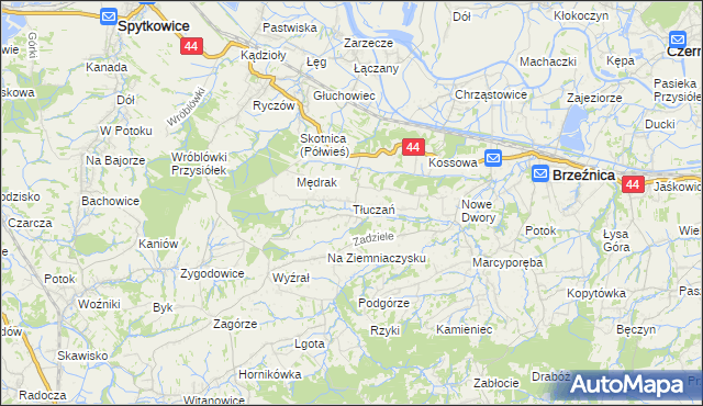 mapa Tłuczań, Tłuczań na mapie Targeo