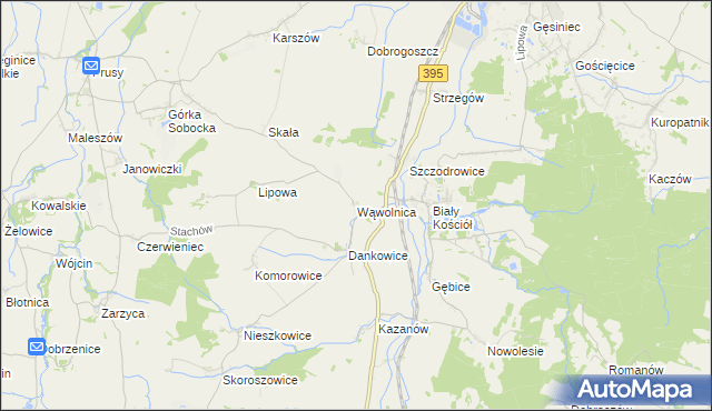 mapa Wąwolnica gmina Strzelin, Wąwolnica gmina Strzelin na mapie Targeo