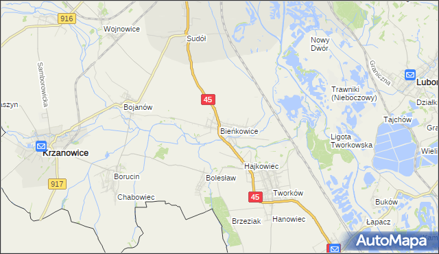 mapa Bieńkowice gmina Krzyżanowice, Bieńkowice gmina Krzyżanowice na mapie Targeo