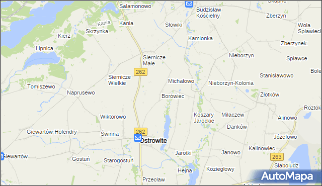 mapa Borówiec gmina Ostrowite, Borówiec gmina Ostrowite na mapie Targeo