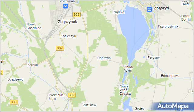 mapa Dąbrowa gmina Zbąszyń, Dąbrowa gmina Zbąszyń na mapie Targeo