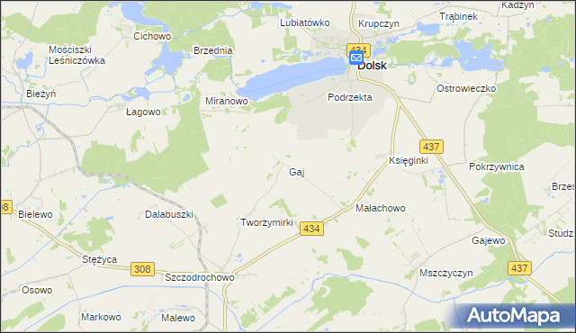 mapa Gaj gmina Gostyń, Gaj gmina Gostyń na mapie Targeo