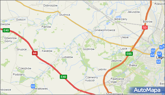 mapa Goślinów, Goślinów na mapie Targeo