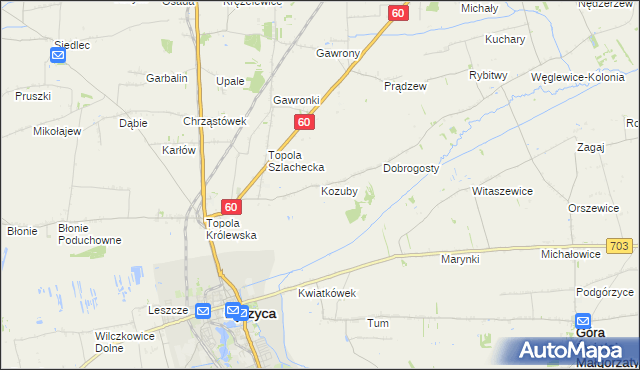 mapa Kozuby gmina Łęczyca, Kozuby gmina Łęczyca na mapie Targeo