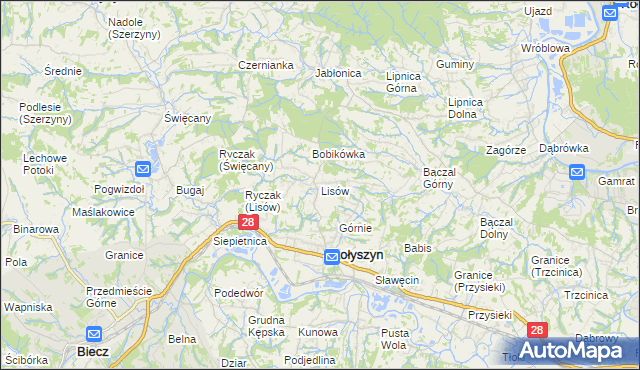 mapa Lisów gmina Skołyszyn, Lisów gmina Skołyszyn na mapie Targeo