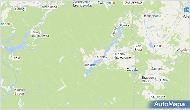 mapa Okoniny gmina Śliwice, Okoniny gmina Śliwice na mapie Targeo