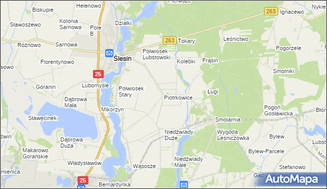 mapa Piotrkowice gmina Ślesin, Piotrkowice gmina Ślesin na mapie Targeo