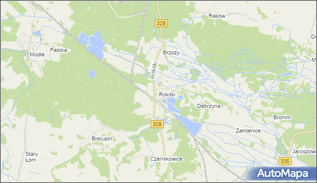 mapa Rokitki gmina Chojnów, Rokitki gmina Chojnów na mapie Targeo