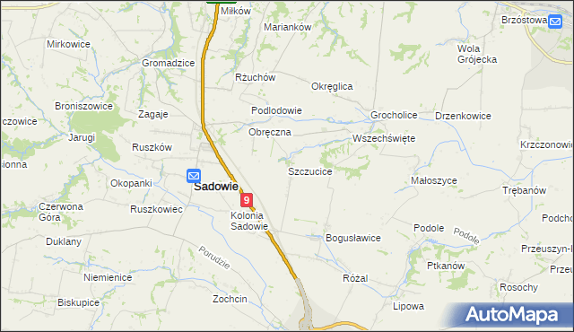 mapa Szczucice, Szczucice na mapie Targeo