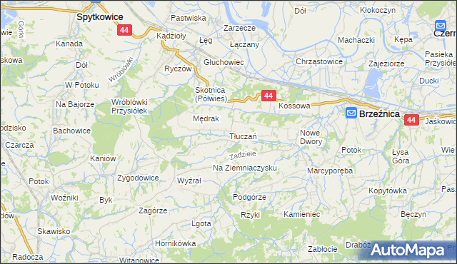 mapa Tłuczań, Tłuczań na mapie Targeo