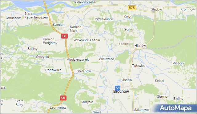 mapa Witkowice gmina Młodzieszyn, Witkowice gmina Młodzieszyn na mapie Targeo