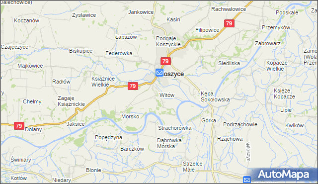 mapa Witów gmina Koszyce, Witów gmina Koszyce na mapie Targeo