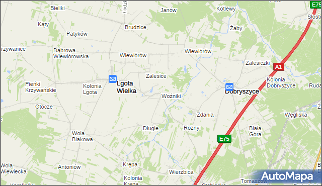 mapa Woźniki gmina Lgota Wielka, Woźniki gmina Lgota Wielka na mapie Targeo