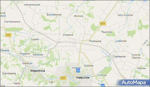 mapa Drzewce-Kolonia, Drzewce-Kolonia na mapie Targeo