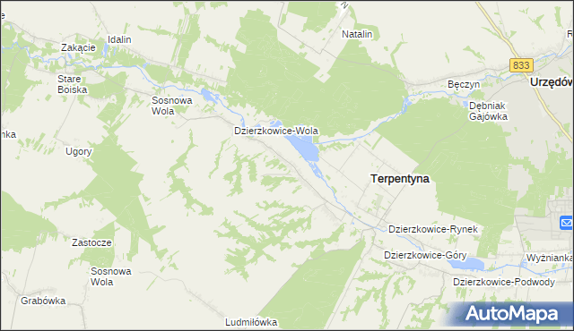 mapa Dzierzkowice-Zastawie, Dzierzkowice-Zastawie na mapie Targeo
