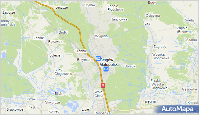 mapa Głogów Małopolski, Głogów Małopolski na mapie Targeo