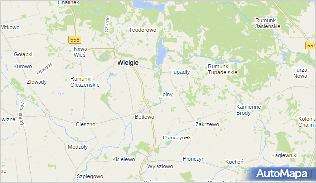 mapa Lipiny gmina Wielgie, Lipiny gmina Wielgie na mapie Targeo