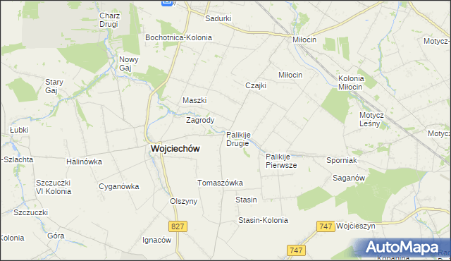 mapa Palikije Drugie, Palikije Drugie na mapie Targeo