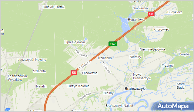 mapa Trzcianka gmina Brańszczyk, Trzcianka gmina Brańszczyk na mapie Targeo
