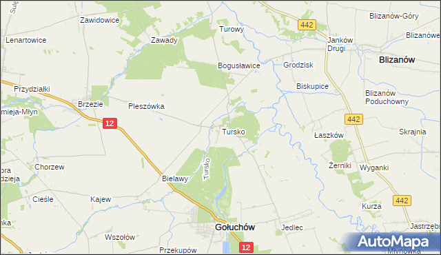mapa Tursko gmina Gołuchów, Tursko gmina Gołuchów na mapie Targeo