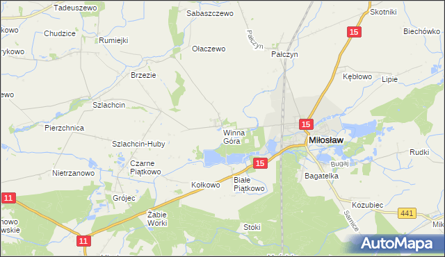 mapa Winna Góra gmina Środa Wielkopolska, Winna Góra gmina Środa Wielkopolska na mapie Targeo