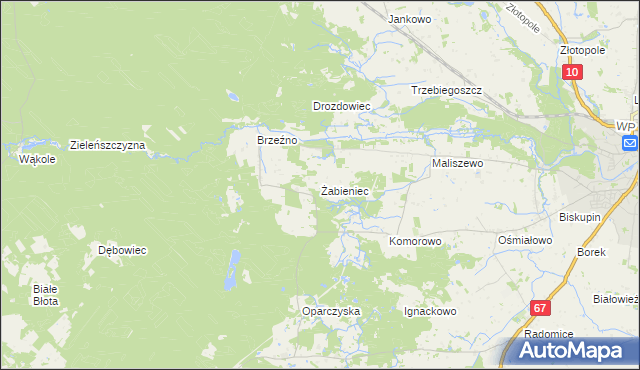 mapa Żabieniec gmina Lipno, Żabieniec gmina Lipno na mapie Targeo