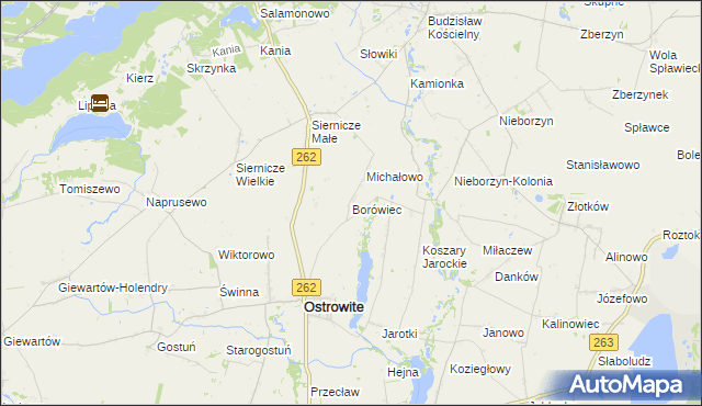 mapa Borówiec gmina Ostrowite, Borówiec gmina Ostrowite na mapie Targeo