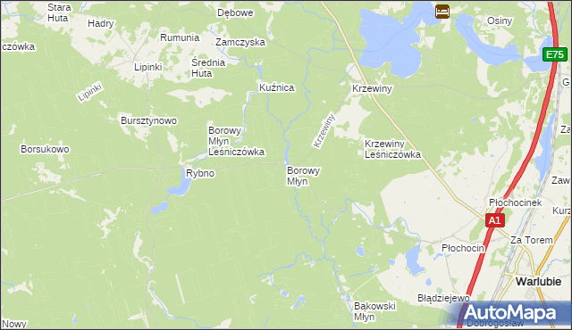 mapa Borowy Młyn gmina Warlubie, Borowy Młyn gmina Warlubie na mapie Targeo