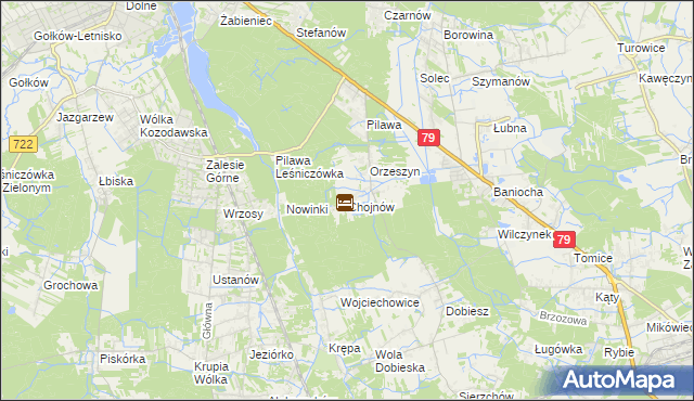 mapa Chojnów gmina Piaseczno, Chojnów gmina Piaseczno na mapie Targeo