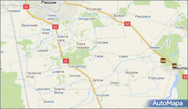 mapa Cieśle gmina Gołuchów, Cieśle gmina Gołuchów na mapie Targeo