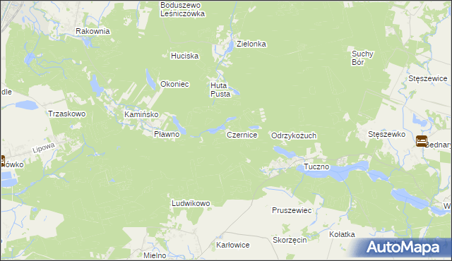 mapa Czernice gmina Murowana Goślina, Czernice gmina Murowana Goślina na mapie Targeo