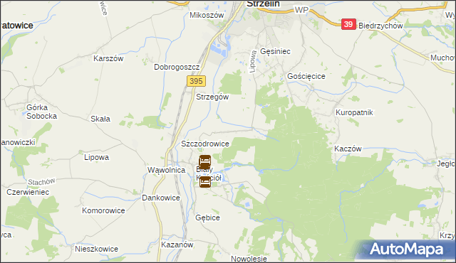 mapa Dębniki gmina Strzelin, Dębniki gmina Strzelin na mapie Targeo