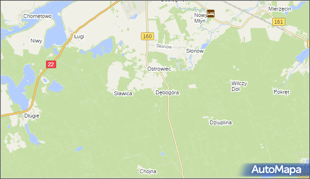 mapa Dębogóra gmina Dobiegniew, Dębogóra gmina Dobiegniew na mapie Targeo