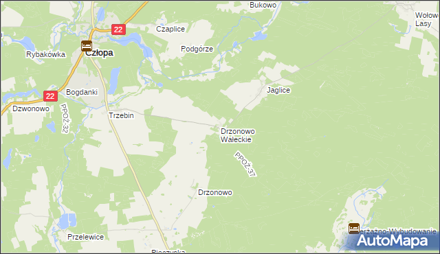 mapa Drzonowo Wałeckie, Drzonowo Wałeckie na mapie Targeo