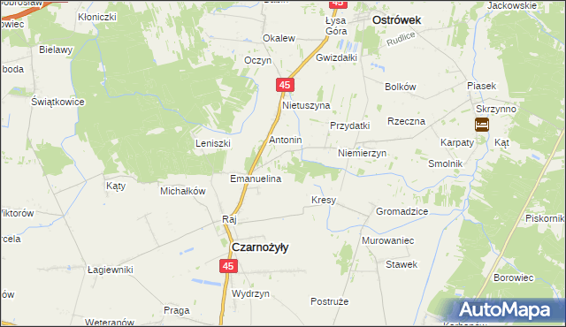 mapa Działy gmina Czarnożyły, Działy gmina Czarnożyły na mapie Targeo