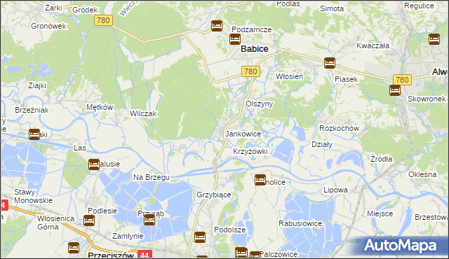 mapa Jankowice gmina Babice, Jankowice gmina Babice na mapie Targeo