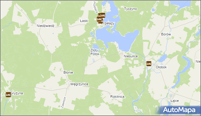 mapa Kalinowo gmina Skąpe, Kalinowo gmina Skąpe na mapie Targeo