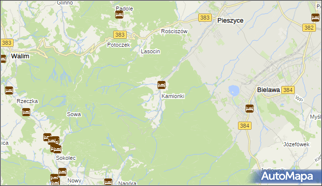 mapa Kamionki gmina Pieszyce, Kamionki gmina Pieszyce na mapie Targeo