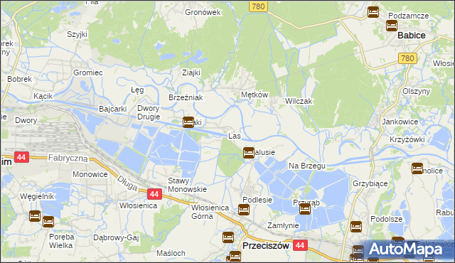 mapa Las gmina Przeciszów, Las gmina Przeciszów na mapie Targeo