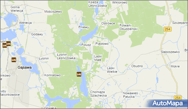 mapa Laski Małe gmina Gąsawa, Laski Małe gmina Gąsawa na mapie Targeo