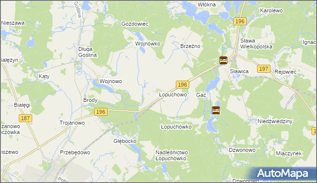 mapa Łopuchowo gmina Murowana Goślina, Łopuchowo gmina Murowana Goślina na mapie Targeo