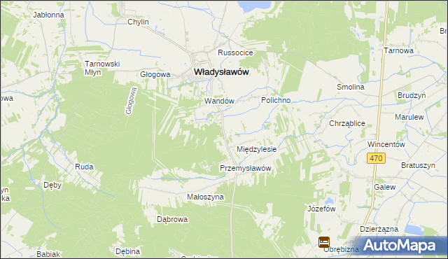 mapa Mariantów gmina Władysławów, Mariantów gmina Władysławów na mapie Targeo