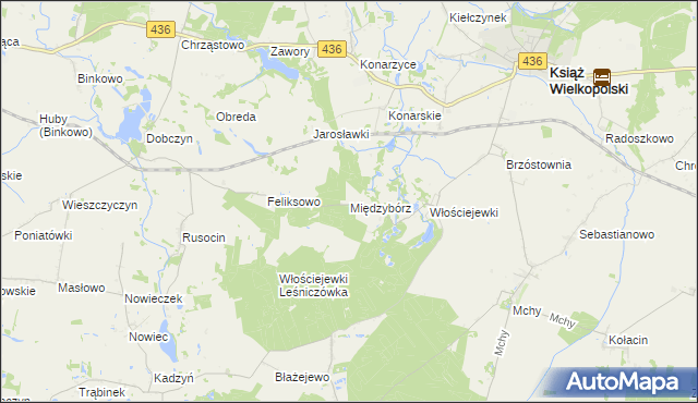 mapa Międzybórz gmina Książ Wielkopolski, Międzybórz gmina Książ Wielkopolski na mapie Targeo
