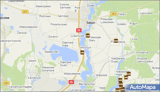 mapa Mikorzyn gmina Ślesin, Mikorzyn gmina Ślesin na mapie Targeo