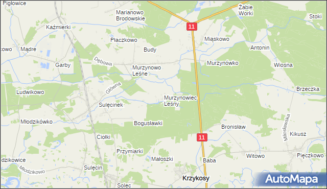 mapa Murzynowiec Leśny, Murzynowiec Leśny na mapie Targeo