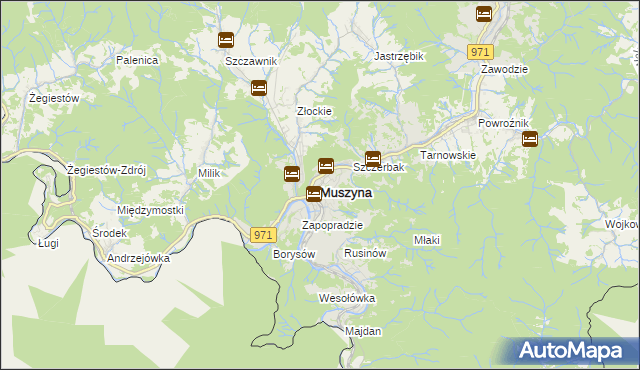 mapa Muszyna, Muszyna na mapie Targeo