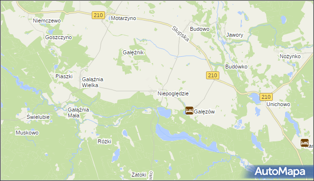 mapa Niepoględzie, Niepoględzie na mapie Targeo