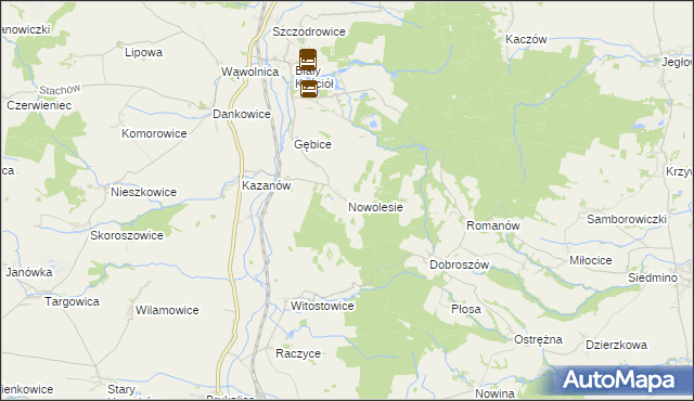 mapa Nowolesie, Nowolesie na mapie Targeo